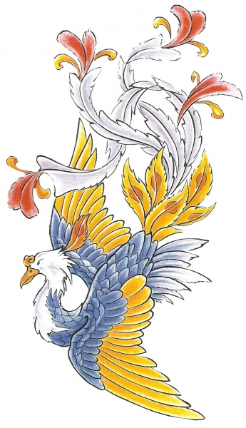 Card image cap